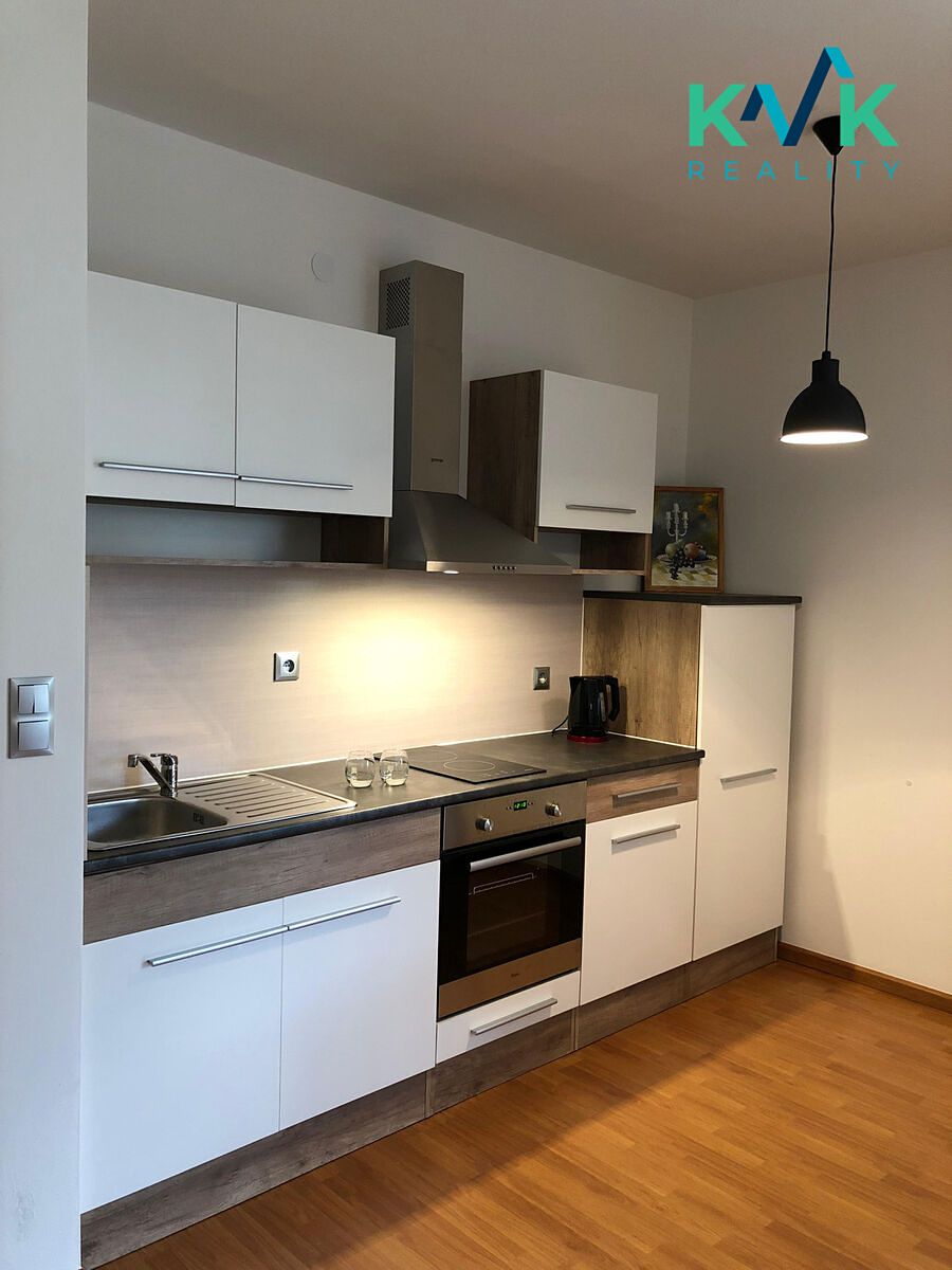 Pronájem bytu 1+kk 47 m² – fotografie 3