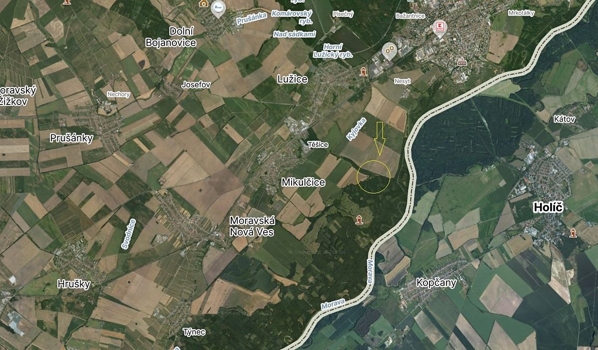 Prodej lesa 2795 m²