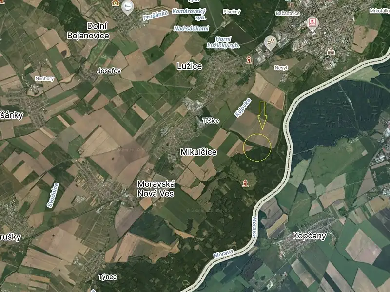 Prodej lesa 2795 m², Mikulčice – náhled fotky 1