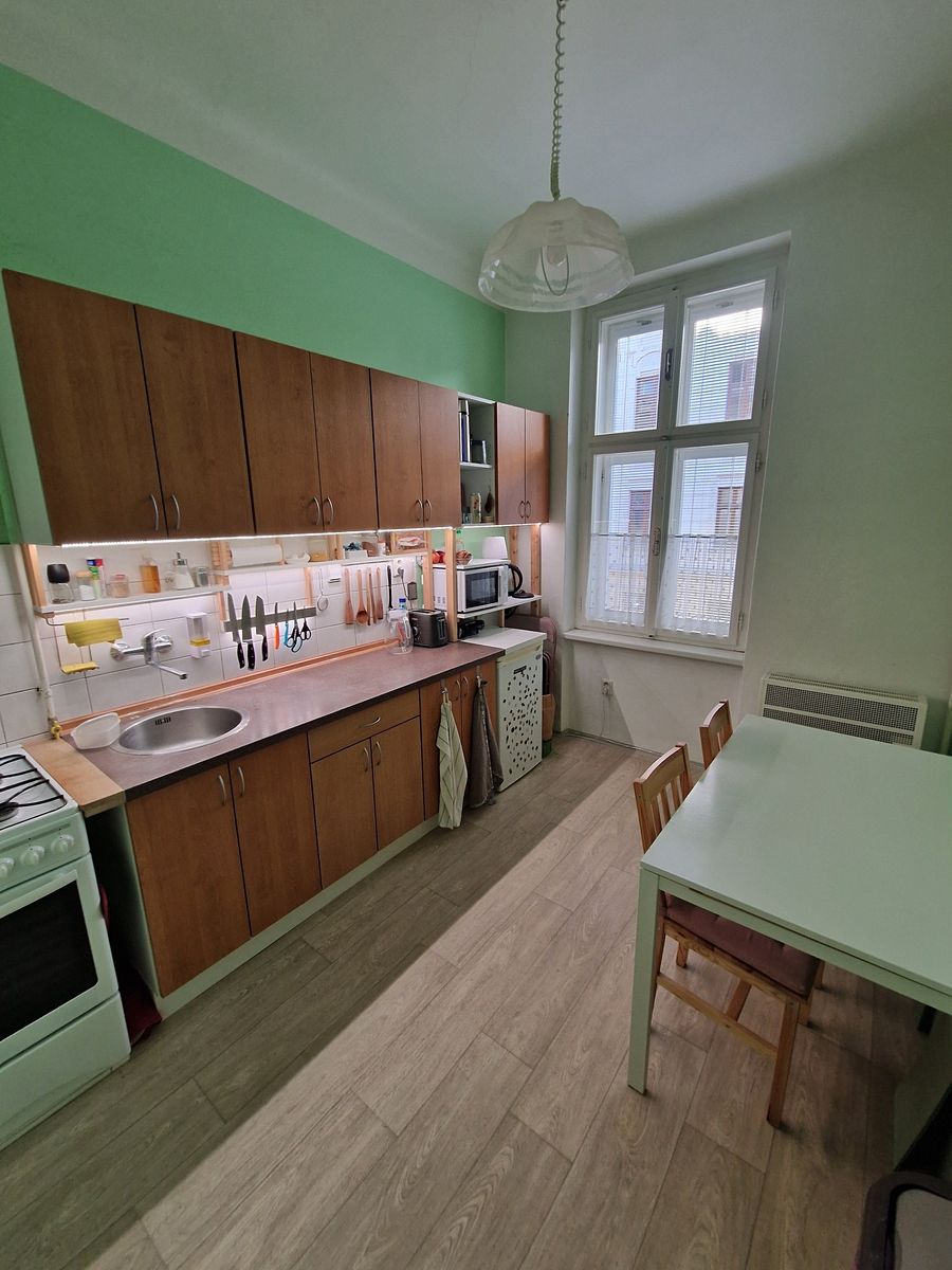 Pronájem bytu 1+1 40 m²