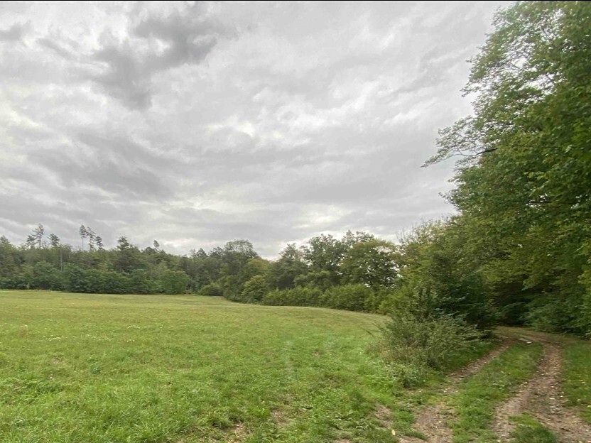 Dražba louky 950 m², Potštejn – fotka 1 z 3