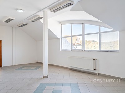 Gewerbefläche zur Miete, 450 m² (3 von 8)