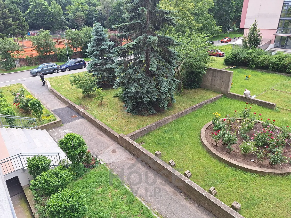 Fotka 24 z 26