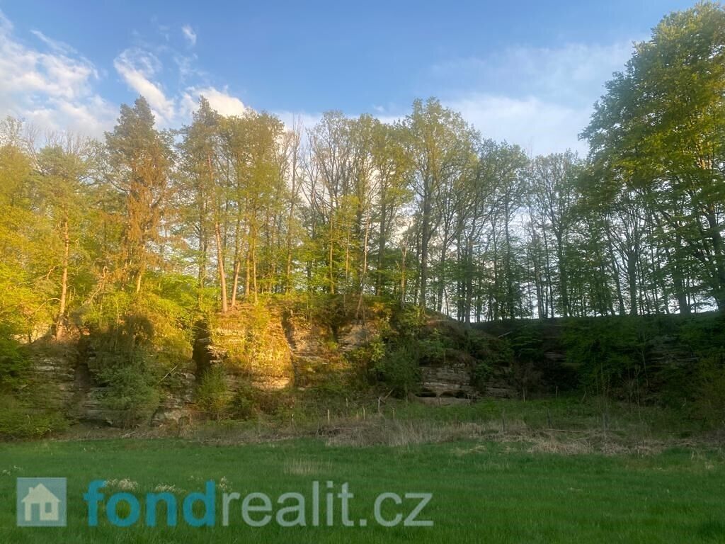 Prodej pole 3829 m²