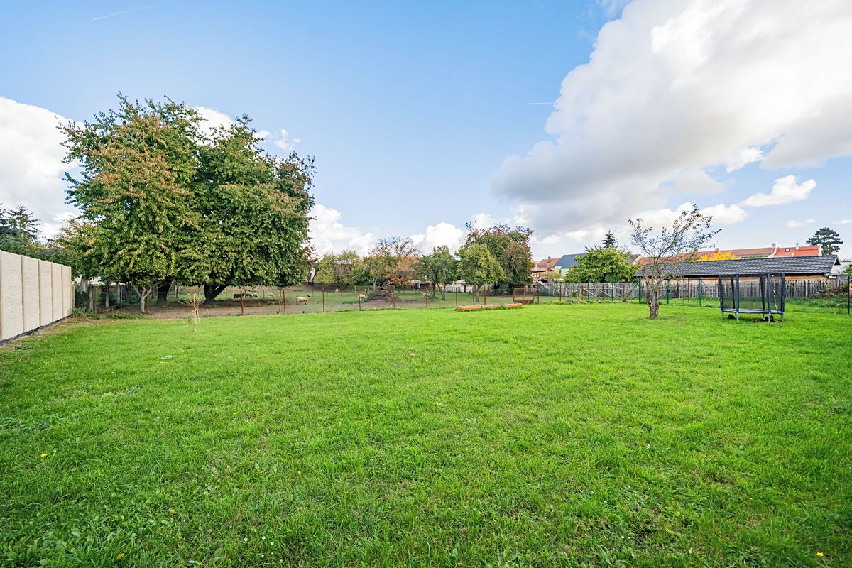 Prodej rodinného domu 700 m², pozemek 4338 m² – fotografie 3