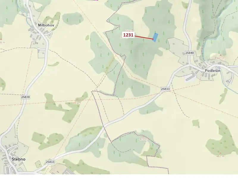 Dražba lesa 1462 m², Stebno – náhled fotky 1
