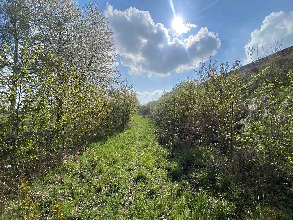 Prodej pozemku 3560 m²