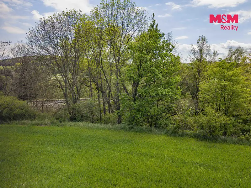 Prodej lesa 909 m², Trhové Dušníky – náhled fotky 3