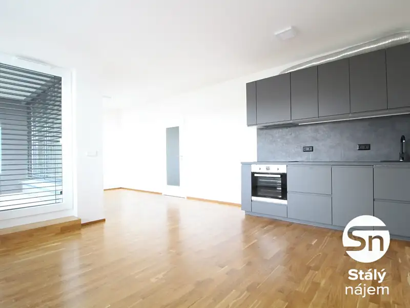 Pronájem bytu 1+kk 40 m², Praha – náhled fotky 2