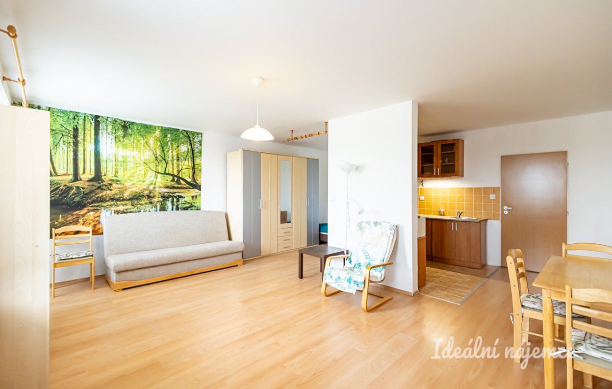 Pronájem bytu 1+kk 47 m²