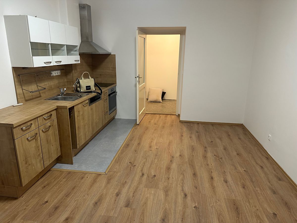 Pronájem bytu 2+kk 50 m² – fotografie 4