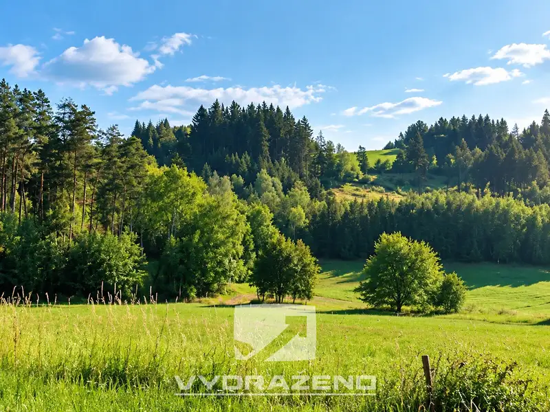 Prodej pole 3946 m², Levínská Olešnice – náhled fotky 2