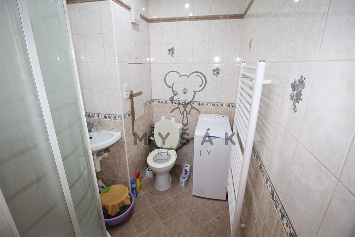Pronájem bytu 1+kk 21 m² – fotografie 5