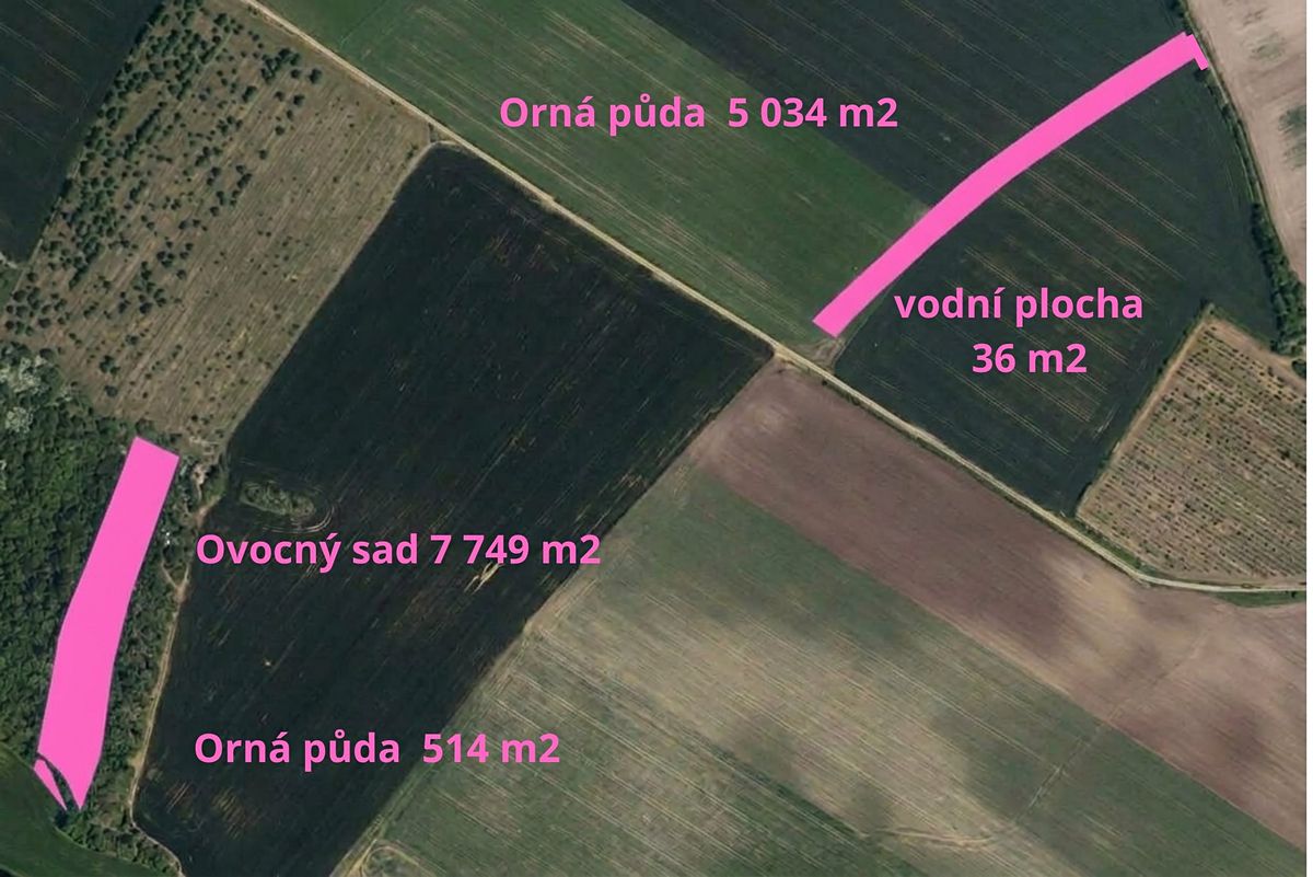 Prodej pole 60930 m² – fotografie 2