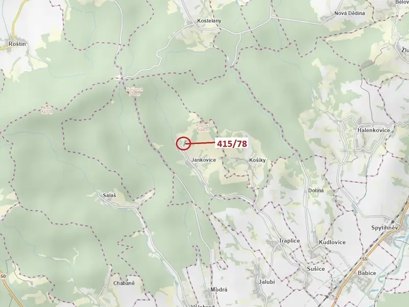 Dražba louky 6434 m², Jankovice – náhled fotky 1