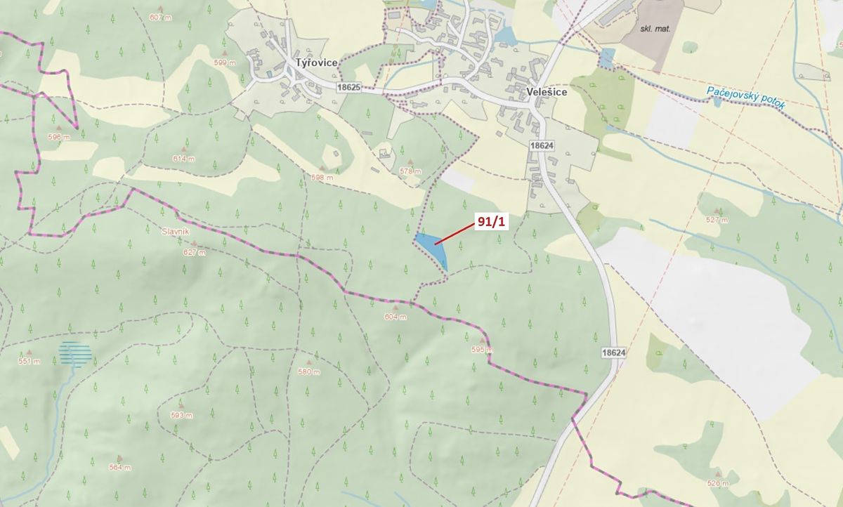 Dražba lesa 3251 m², Pačejov – fotka 1 z 3