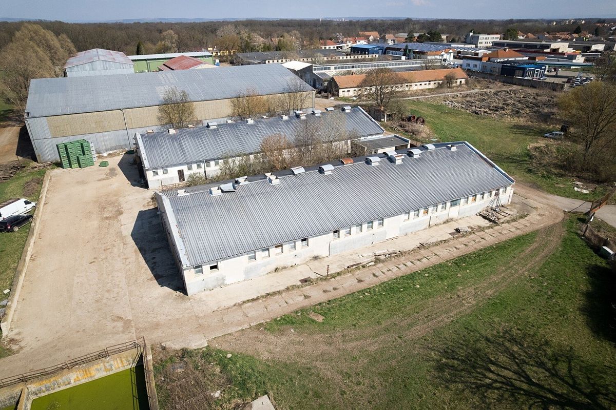 Dražba zemědělského objektu 6678 m², Lednice – fotka 1 z 3