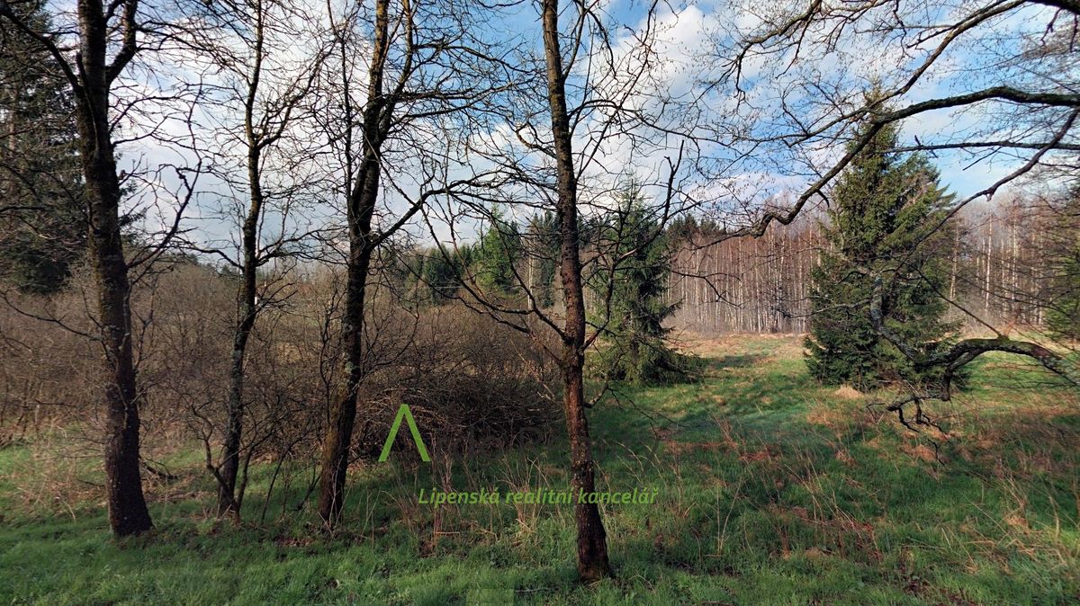 Prodej louky 13899 m² – fotografie 3