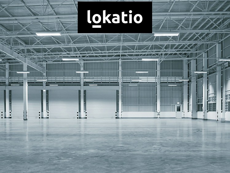 Ostatní