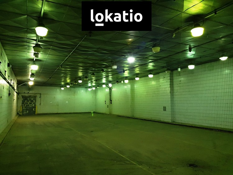 Pronájem komerčního prostoru, 3 000 m² (6 z 13)