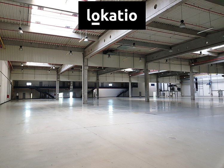 Ostatní