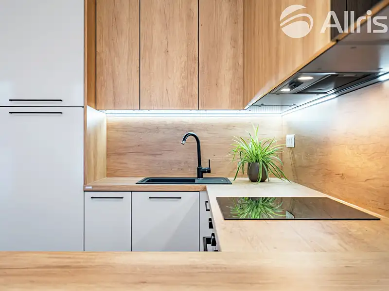 Pronájem bytu 2+kk 54 m², Brno – náhled fotky 3