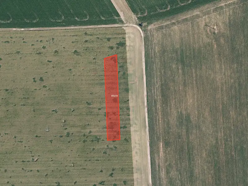 Prodej pole 6317 m², Štarnov – náhled fotky 1