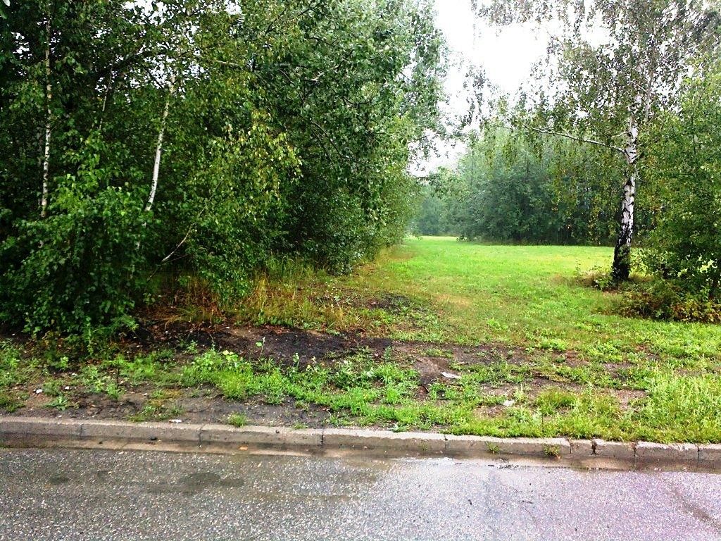 Prodej komerčního pozemku 6000 m²