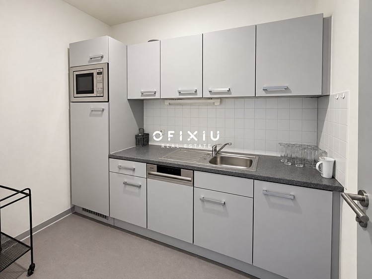 Pronájem komerčního prostoru, 589 m² (19 z 22)