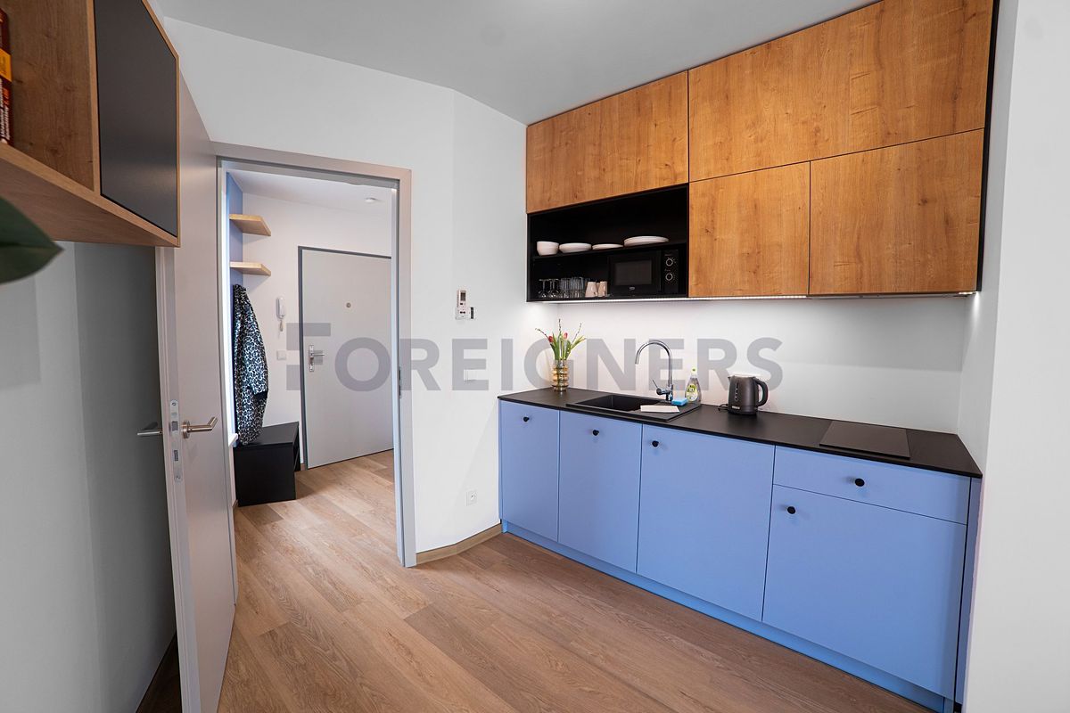 Pronájem bytu 2+kk 40 m² – fotografie 3