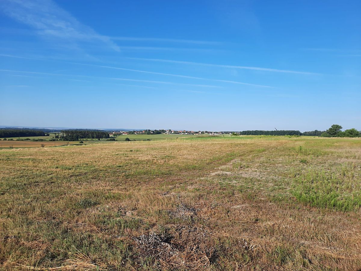 Prodej stavebního pozemku 7007 m² – fotografie 5