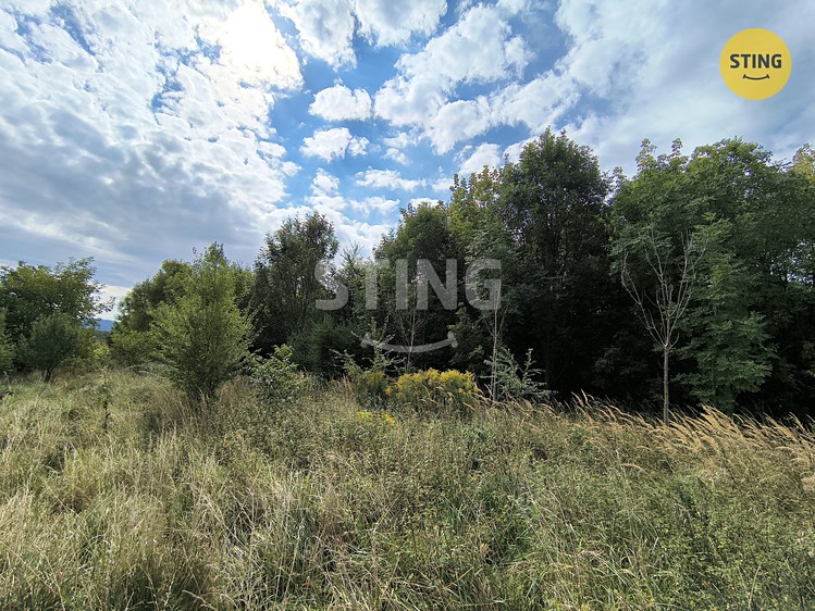 Grundstück zum Kauf, 2.800 m² (9 von 13)
