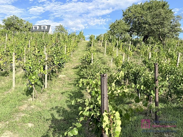 Ostatní