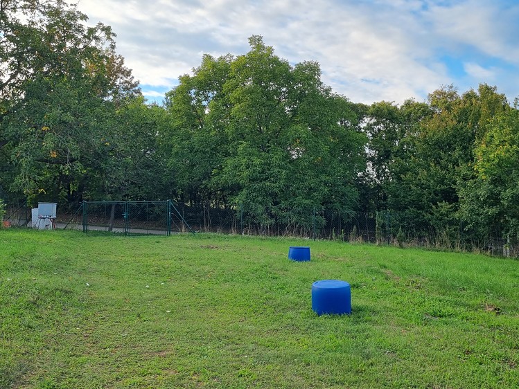 Grundstück zum Kauf, 3.197 m² (5 von 8)