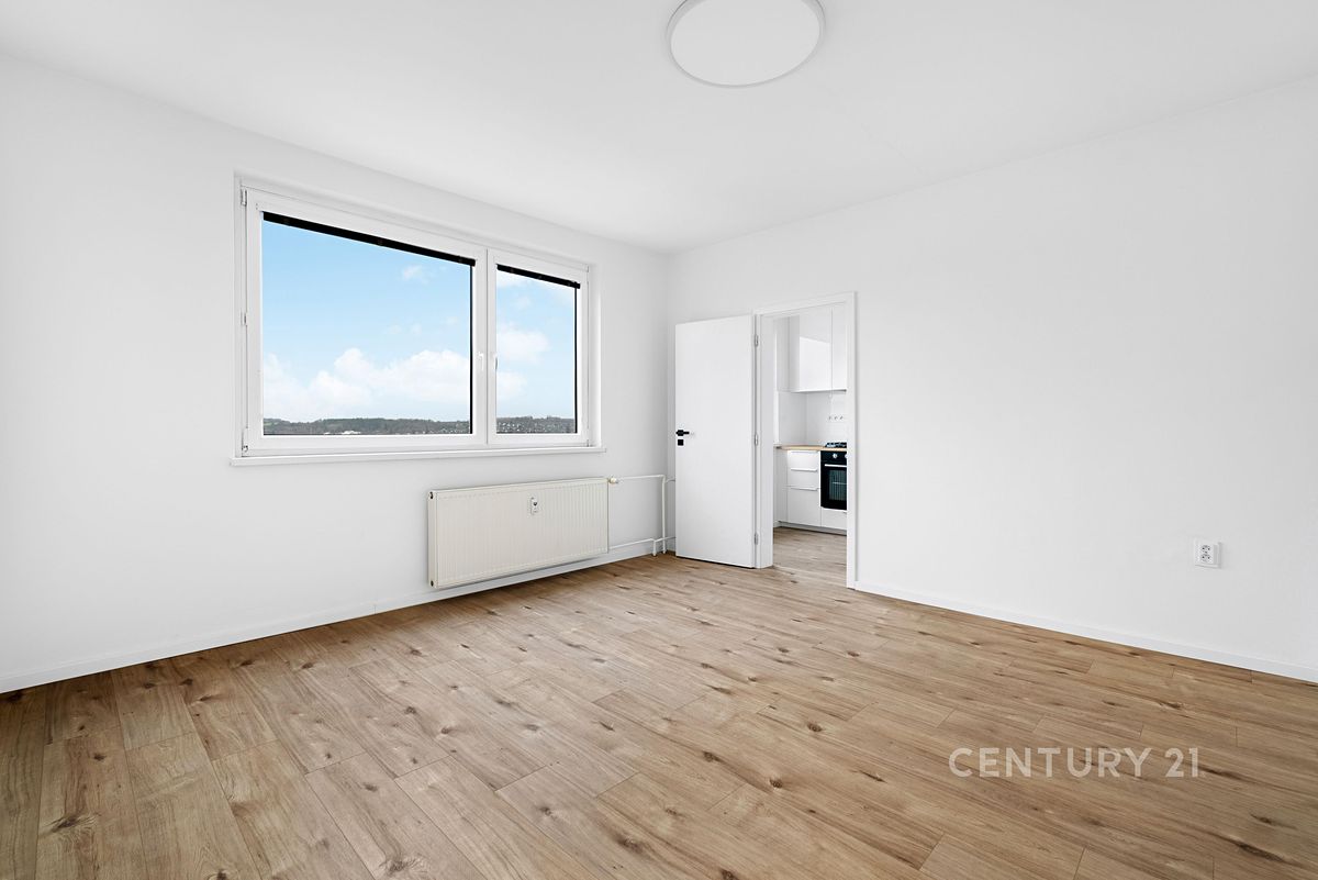 Pronájem bytu 2+1 43 m² – fotografie 3