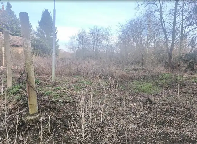 Pronájem pozemku 425 m², Koleč – náhled fotky 2
