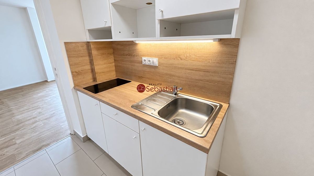Pronájem bytu 1+1 41 m² – fotografie 3