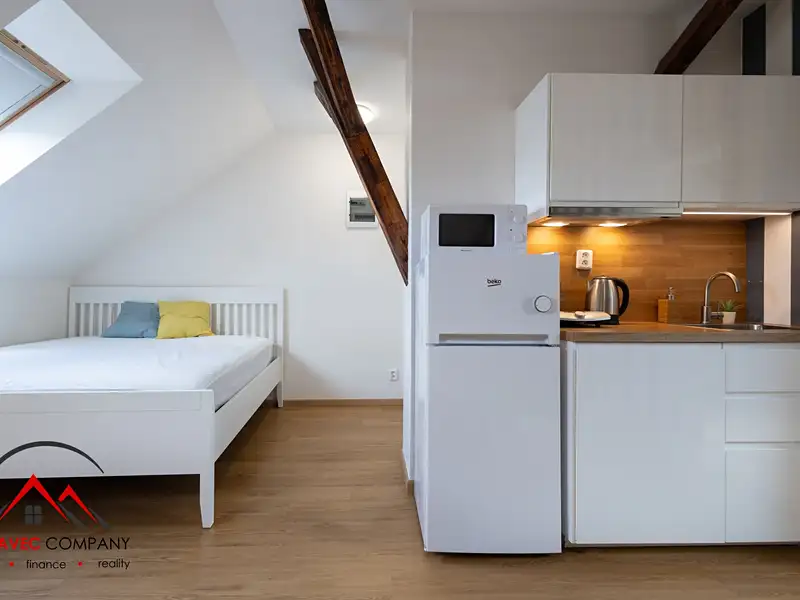 Pronájem bytu 1+kk 38 m², Ostrava – náhled fotky 2