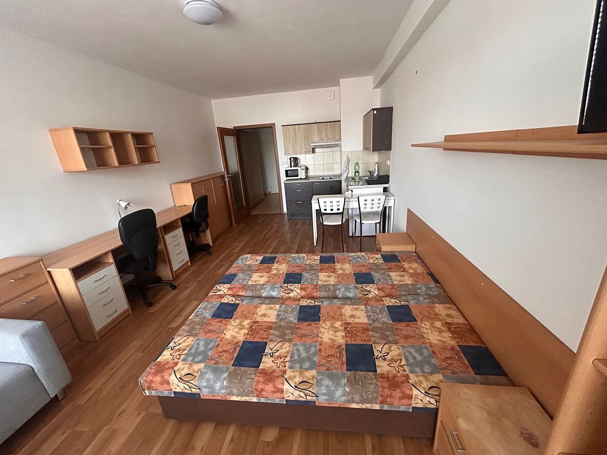 Pronájem bytu 1+kk 30 m² – fotografie 2
