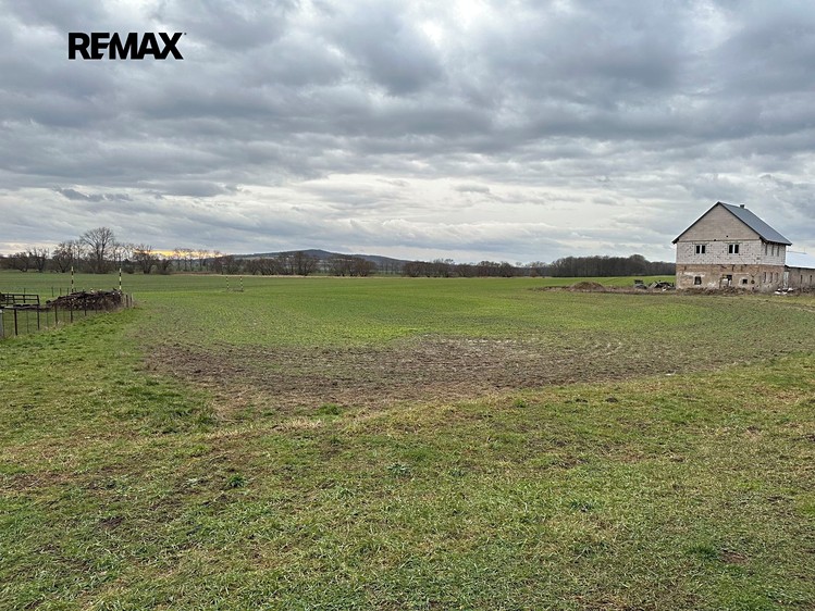 Grundstück zum Kauf, 1.309 m² (6 von 10)