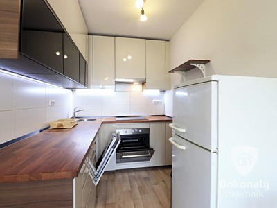 Wohnung 2+kk zur Miete, 45 m² (2 von 17)