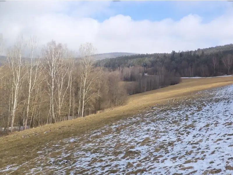 Dražba louky 10344 m², Kájov – náhled fotky 1