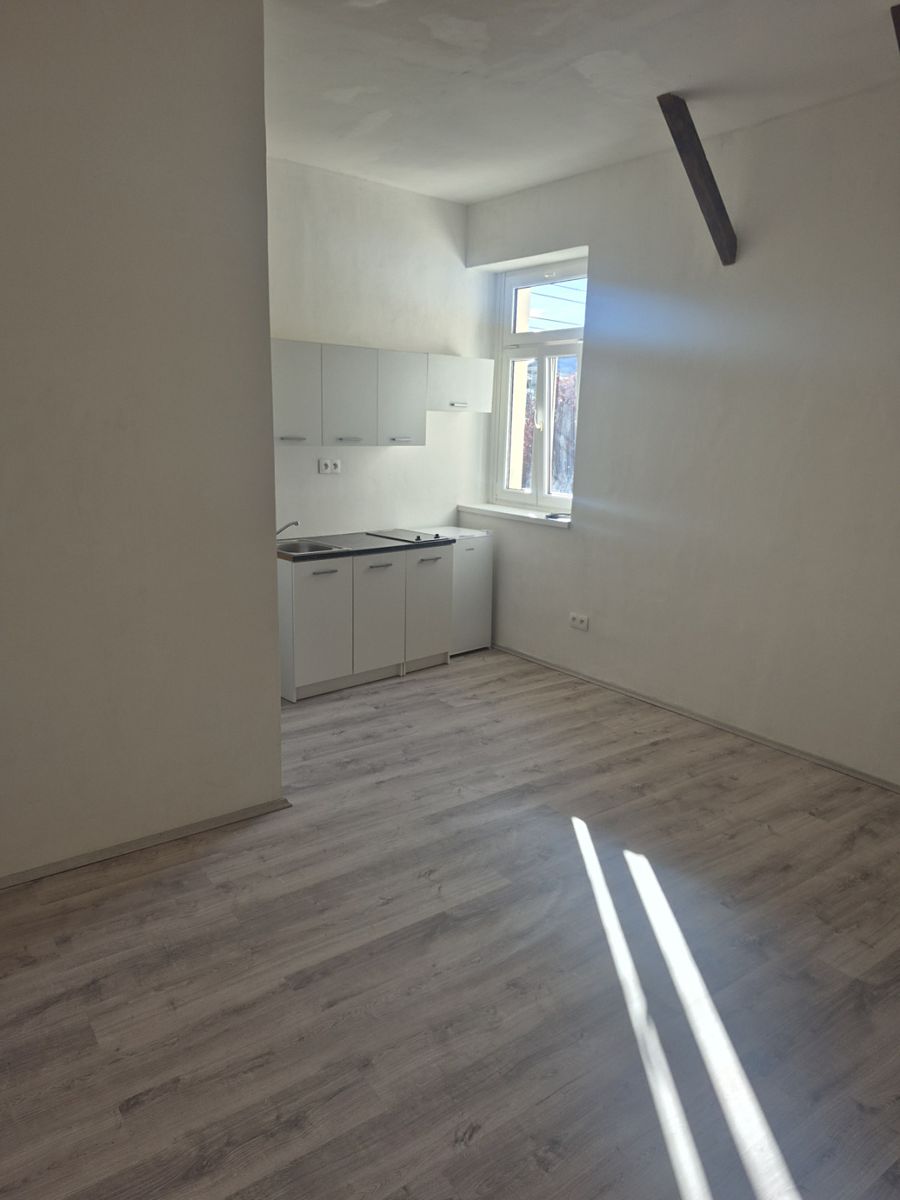 Pronájem bytu 1+kk 28 m² – fotografie 4