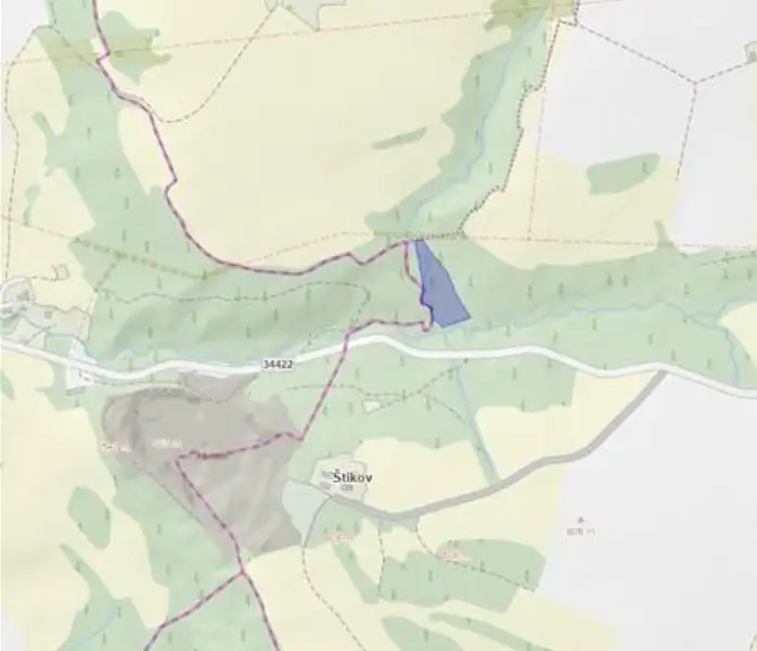 Prodej lesa 8906 m², Slavíkov – náhled fotky 3