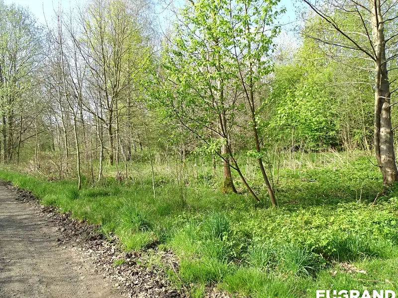 Prodej pozemku 489 m², Varnsdorf – náhled fotky 3