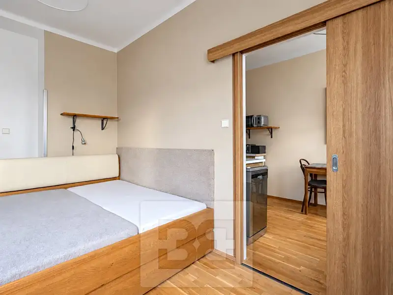 Pronájem bytu 1+1 33 m², Praha – náhled fotky 3