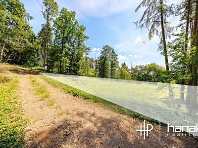 Grundstück zum Kauf, 3.150 m² (3 von 13)