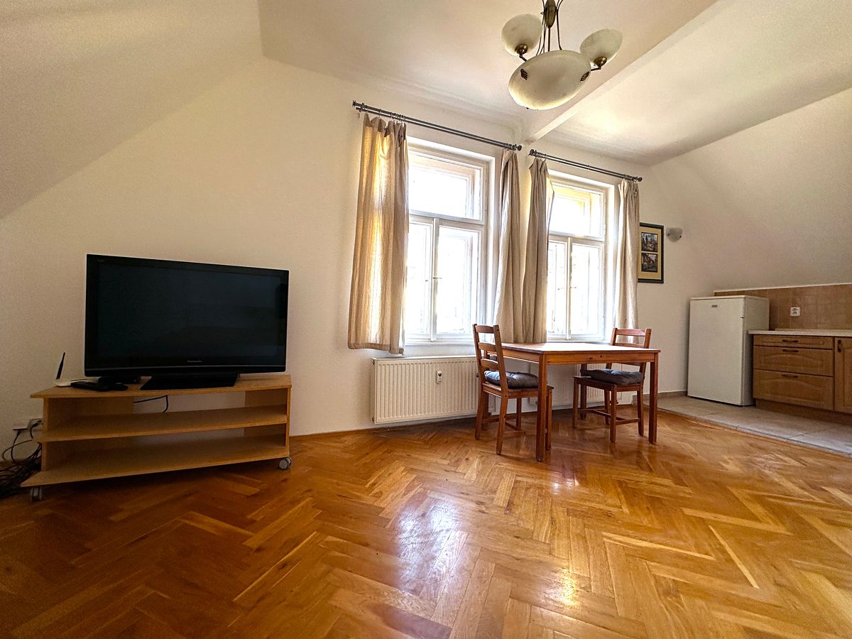 Pronájem bytu 1+kk 30 m² – fotografie 3