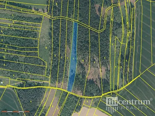 Prodej lesa 28936 m², Radkov – náhled fotky 1