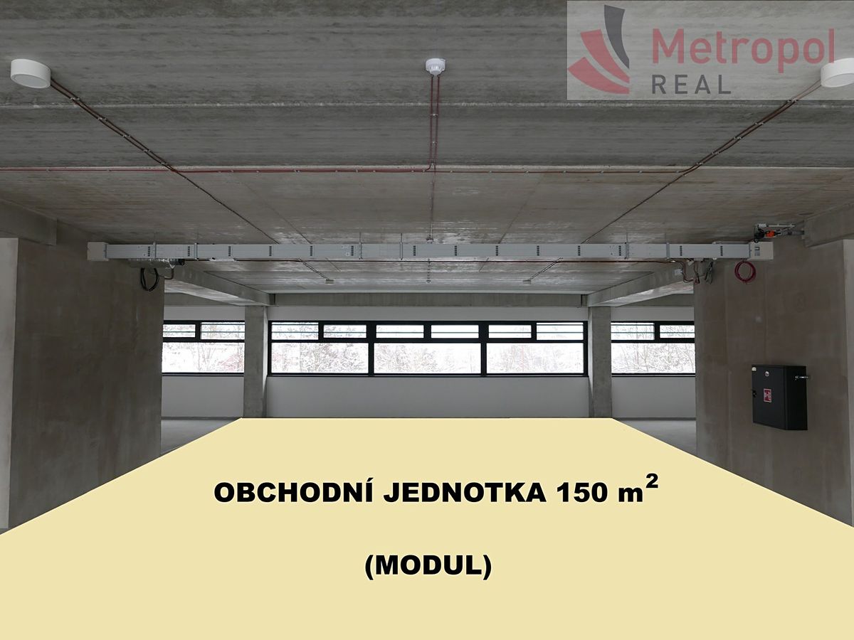 Pronájem komerční nemovitosti 5000 m²